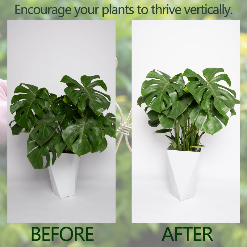 خطاف دعم جذع نبات Monstera 5 قطع من Goooxim - مثبت جذعي معدني متين مقاس 6.5 * 6.5 بوصة لنباتات Monstera وصبار هيكل السمكة - حامل أوراق حماية لطيف - سهل التركيب - مجموعة من 5 قطع - Image 3